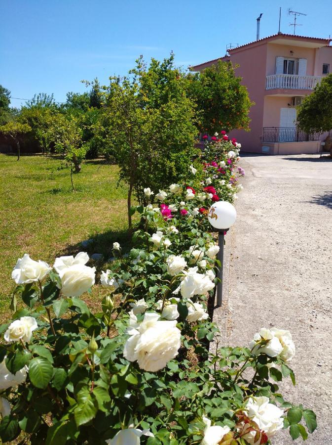 Secret Garden Διαμέρισμα Αίγιο Εξωτερικό φωτογραφία